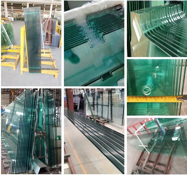 Frameless Glass Fence Railing02560